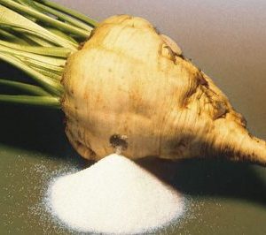 White Refined Beet Sugar