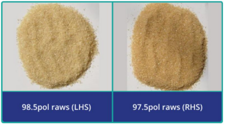 Sugar Polarization