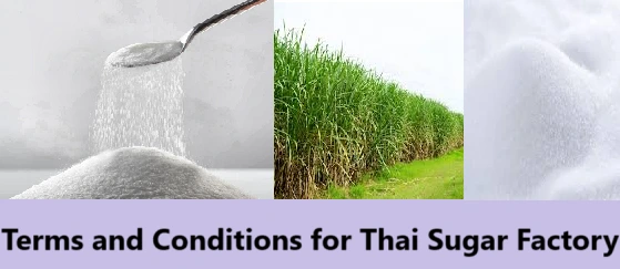 Privacy Terms and Conditions